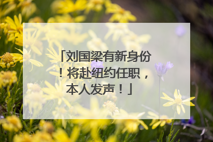刘国梁有新身份！将赴纽约任职，本人发声！