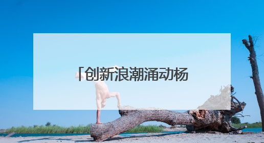 创新浪潮涌动杨浦滨江，全球目光聚焦“杨浦智造”｜相约复兴岛