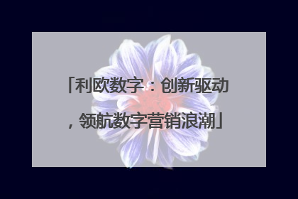 利欧数字：创新驱动，领航数字营销浪潮
