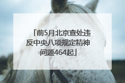 前5月北京查处违反中央八项规定精神问题464起