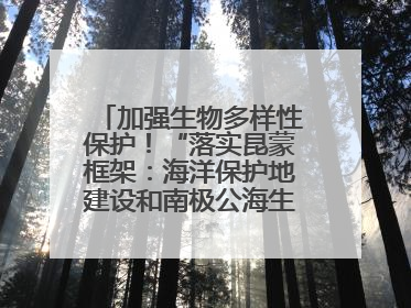 加强生物多样性保护！“落实昆蒙框架：海洋保护地建设和南极公海生态保护”主题论坛将举办