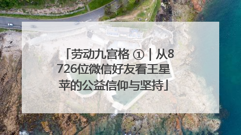 劳动九宫格 ①｜从8726位微信好友看王星苹的公益信仰与坚持