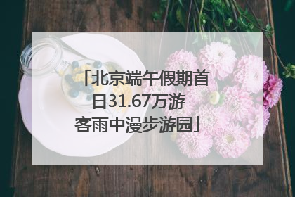 北京端午假期首日31.67万游客雨中漫步游园