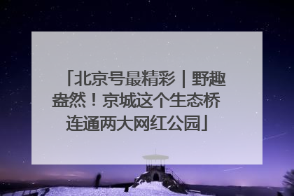 北京号最精彩｜野趣盎然！京城这个生态桥连通两大网红公园