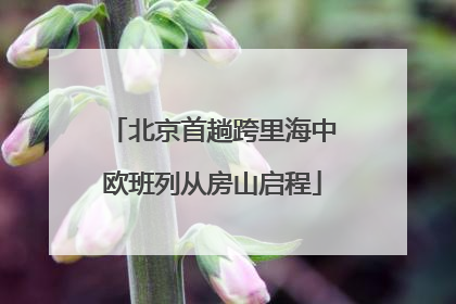 北京首趟跨里海中欧班列从房山启程