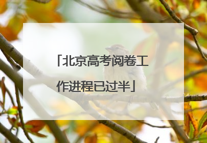 北京高考阅卷工作进程已过半