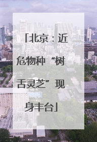 北京：近危物种“树舌灵芝”现身丰台