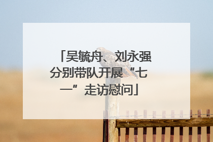 吴毓舟、刘永强分别带队开展“七一”走访慰问