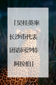 吴桂英率长沙市代表团访问沙特阿拉伯
