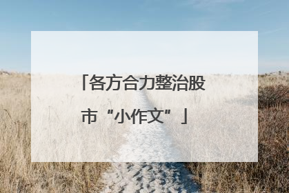 各方合力整治股市“小作文”