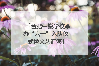 合肥中锐学校举办“六一”入队仪式暨文艺汇演