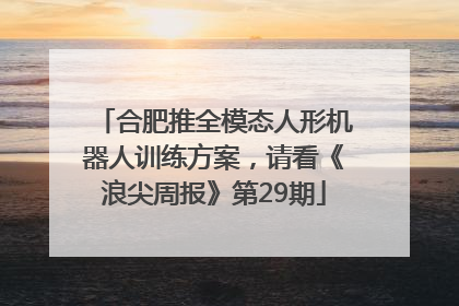合肥推全模态人形机器人训练方案，请看《浪尖周报》第29期