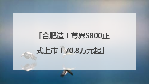 合肥造！尊界S800正式上市！70.8万元起