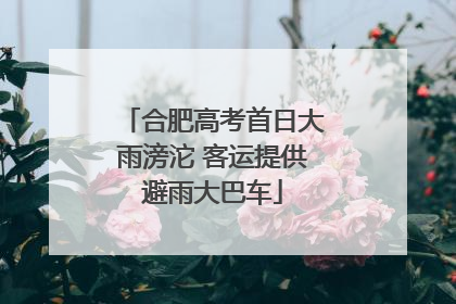合肥高考首日大雨滂沱 客运提供避雨大巴车