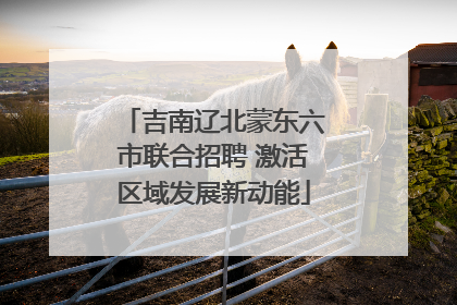 吉南辽北蒙东六市联合招聘 激活区域发展新动能