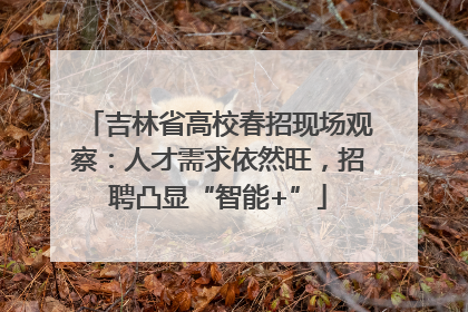 吉林省高校春招现场观察：人才需求依然旺，招聘凸显“智能+”