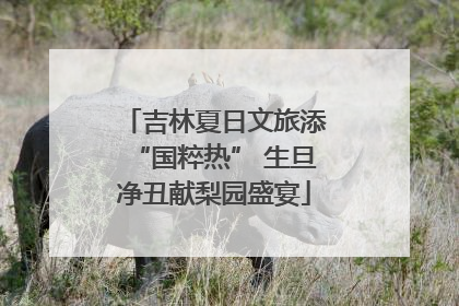 吉林夏日文旅添“国粹热” 生旦净丑献梨园盛宴