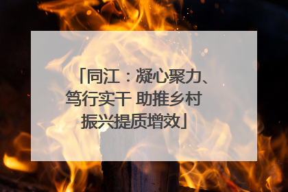 同江：凝心聚力、笃行实干 助推乡村振兴提质增效