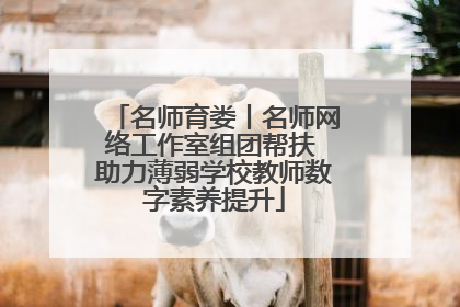 名师育娄丨名师网络工作室组团帮扶 助力薄弱学校教师数字素养提升