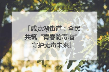 咸嘉湖街道：全民共筑“青春防毒墙” 守护无毒未来