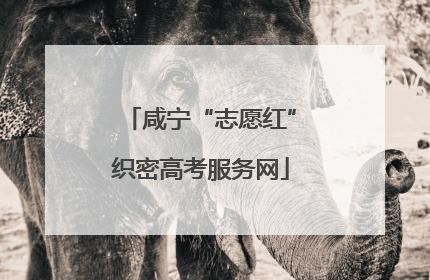 咸宁“志愿红”织密高考服务网