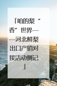 咱的梨“香”世界——河北鲜梨出口产销对接活动侧记
