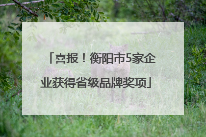 喜报！衡阳市5家企业获得省级品牌奖项