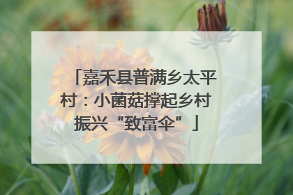 嘉禾县普满乡太平村：小菌菇撑起乡村振兴“致富伞”