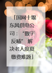 国网十堰东风供电公司：“数字反哺” 解决老人度夏缴费难题