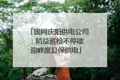 国网庆阳供电公司：精益巡检不停歇 迎峰度夏保供电