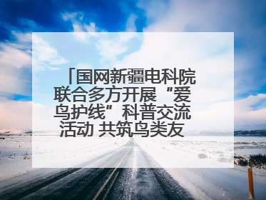 国网新疆电科院联合多方开展“爱鸟护线”科普交流活动 共筑鸟类友好城市