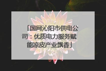 国网沁阳市供电公司：优质电力服务赋能凉皮产业飘香