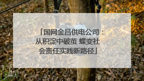 国网金昌供电公司：从积淀中破茧 蝶变社会责任实践新路径