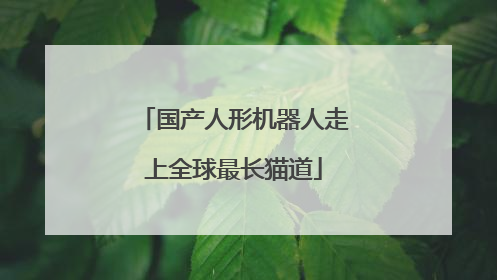 国产人形机器人走上全球最长猫道