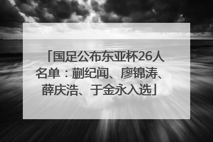 国足公布东亚杯26人名单：蒯纪闻、廖锦涛、薛庆浩、于金永入选