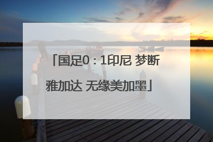 国足0∶1印尼 梦断雅加达 无缘美加墨
