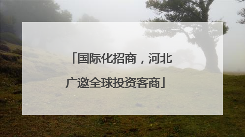 国际化招商，河北广邀全球投资客商