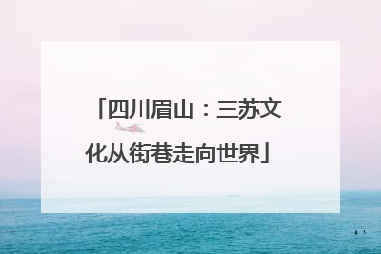 四川眉山：三苏文化从街巷走向世界