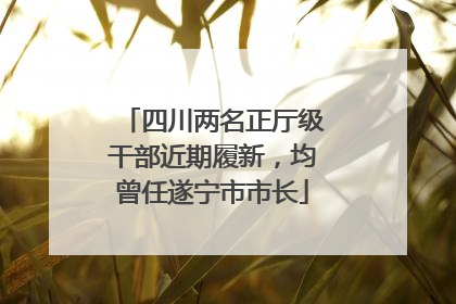 四川两名正厅级干部近期履新，均曾任遂宁市市长