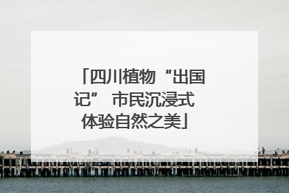 四川植物“出国记” 市民沉浸式体验自然之美