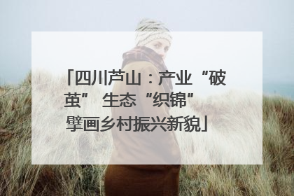 四川芦山：产业“破茧” 生态“织锦” 擘画乡村振兴新貌