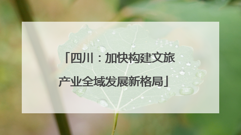 四川：加快构建文旅产业全域发展新格局