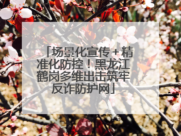 场景化宣传＋精准化防控！黑龙江鹤岗多维出击筑牢反诈防护网