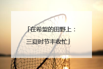 在希望的田野上：三夏时节丰收忙