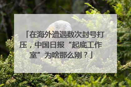 在海外遭遇数次封号打压，中国日报“起底工作室”为啥那么刚？