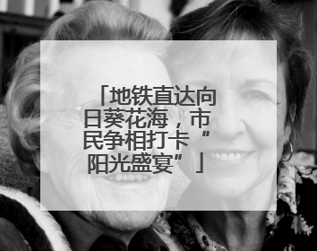 地铁直达向日葵花海，市民争相打卡“阳光盛宴”