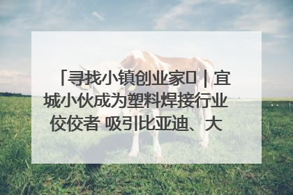 寻找小镇创业家㉞｜宜城小伙成为塑料焊接行业佼佼者 吸引比亚迪、大众等多家名企合作