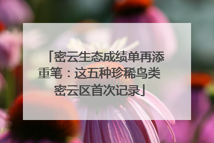 密云生态成绩单再添重笔：这五种珍稀鸟类密云区首次记录