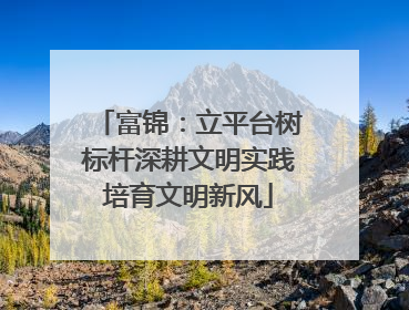 富锦：立平台树标杆深耕文明实践培育文明新风