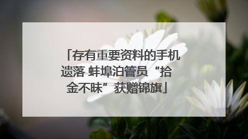存有重要资料的手机遗落 蚌埠泊管员“拾金不昧”获赠锦旗